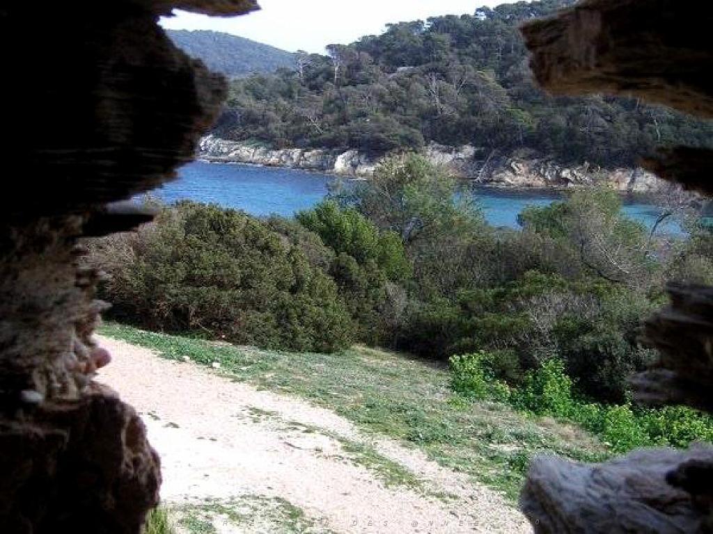 183 ILE DE PORQUEROLLES -4_000003.jpg
